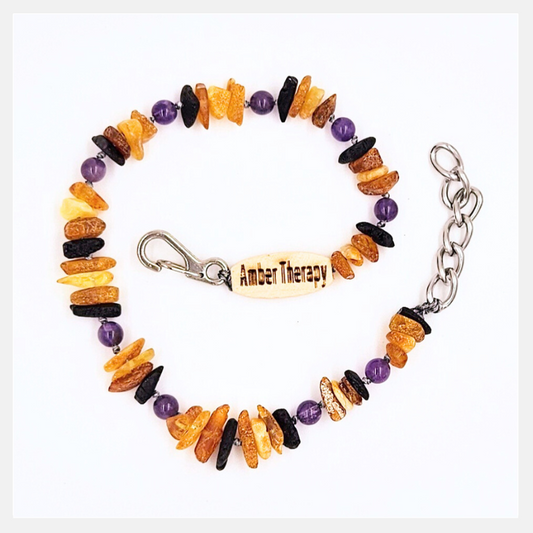 Extra Large Dog Multi Amber & Amethyst Collar-0