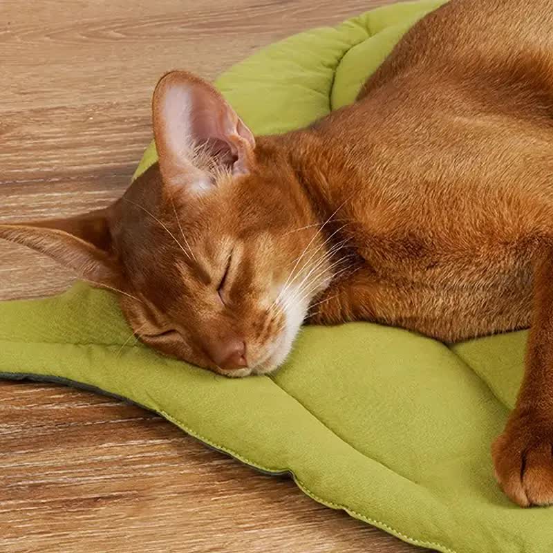 NNEDSZ 1 Pcs Yellow Leaf-Shaped Pet Sleeping Mat - Durable Dog Floor Pad & Cat Bed for Sleeping and Playtime-3